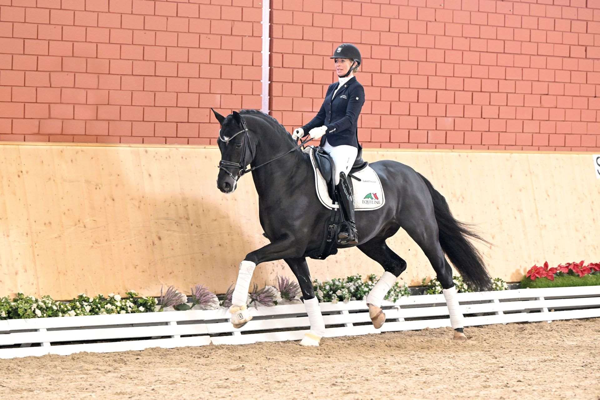 True Hope PS Stallion